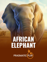 African Elephant Slot Terbaru: Review dan Info Lengkap